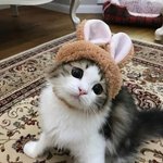 [댓글부탁해] 아니 나 노안맞지 이거,,
