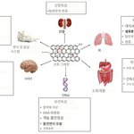 ~ 알엔에이 백신의 효능 정리 ~