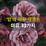 [50대] <b>입이</b> 자꾸 마르는 이유 10가지