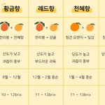 [댓글부탁해] 혼술 최애 <b>안주</b> 공유하자@@@@@