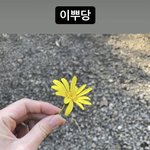 이런 인스타<b>감성</b>은어때