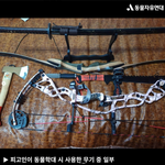 [이것좀봐줘] 고양이 죽이고 너구리 발골해서 채팅방에 올린 놈이...