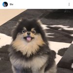<b>뷔</b> 인스타 올라왓넹