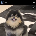 [방탄소년단] 김태형 이 위험한 남자..