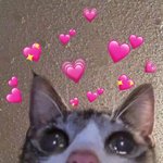 [NCT드림] 마마투표하장