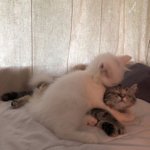 ㅋㅋㅋㅋㅋㅋㅋㅋ<b>탈판</b>해봐라