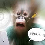 [댓글부탁해] 아이패드 에어4 쓰는 애들아..제발들어와줘
