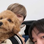 [NCT드림] 갸아아<b>아악</b>
