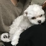귀여운 <b>사진</b> 짤<b>털</b>하자!!!