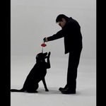 [NCT칠프] 재현이 프라다 <b>견주</b>분 인별에