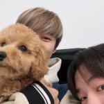 [NCT드림] <b>개</b>뜬금없는데 나 오늘 런쥔이가 보내준 버블<b>사진</b>