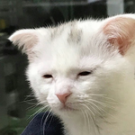 판 없어<b>지면</b> 안됨