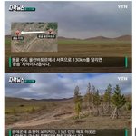 [드루와] 15년 전 몽골에 심은 <b>나무</b> 근황