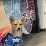 [댓글부탁해] 이 <b>블로그</b> 아는 사람 줴에발...