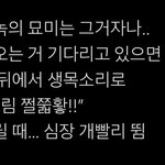 [NCT드림] 마마 <b>사녹</b> 즐겨보자