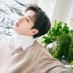 [스키즈] <b>any</b> 이 왕자님들;