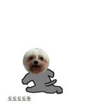 근근데 <b>카카오</b> 택시 왜 타는거임