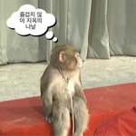 너네 마스크에 <b>파데</b>나 쿠션 잘 안묻음???
