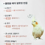 [댓글부탁해] 울학교 <b>방학</b> 미뤄짐 ㅋㅋ