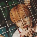 [NCT드림] <b>이</b> 무루룽냐 아기<b>표정</b> 뭐임?!!!!!