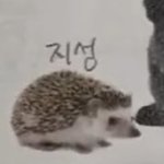 [NCT드림] 지<b>셩</b>이나 봐야지..