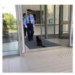 2년동안 미술관에 <b>침입</b>을 시도한 고양이