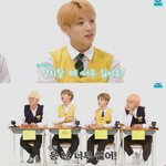 아니 방탄 유튜브 짜증나는 게