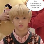 [NCT드림] 다들 이거봐바