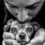 내 사랑 반려동물과의 마지막 <b>작별</b> 인사