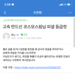 <b>국어</b> 컷 ㄹㅇ 이거면 한강 간다