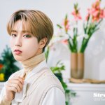 [스키즈] 애들 보고 힘내서 마지막까지 열툽하자 ❤️