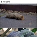우리학교같은 곳 있냐