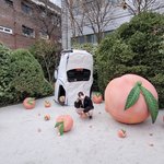 [EXO] 니네 <b>이</b> <b>책</b> 앎?