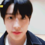 [모두드루와] 엔하이픈 댕냥즈