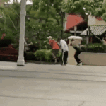 [방탄소년단] 사실 하와이아미들은 <b>경력직</b>이라서