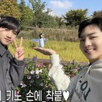 [펜타곤] 얘들아 헷갈라지만 추반해보자