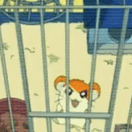 [방탄소년단] 석지니 <b>자가</b>격리 목격짤