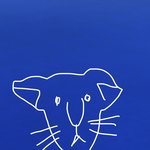 이렇게 생긴 고양이 무슨<b>종임</b>??