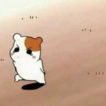 [댓글부탁해] 267245 내 수능 후기 풀어줄게