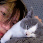 [엔터톡] 샤이니 <b>태민</b> 짤털