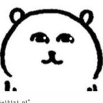나 <b>소매</b>치기 당해본적 있음