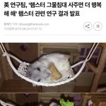야 이 카톡방 나가말아..?
