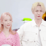 올해 거의 유닛처럼 활동한 아이돌 둘