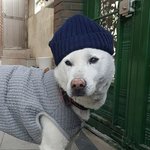 요즘 엔터에 연예인 외모로 vs글 올라오는거