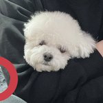 [NCT드림] 같은옷 맞지 않음?ㅋㅋ