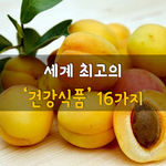 [50대] 세계 최고의 건강식품 16가지