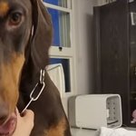 [군대] <b>구름</b>이 요즘에도 정국이집에 있을려나