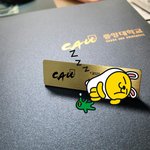 문과는 <b>중대</b> 이대 붙으면 이대 가세요