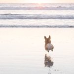 아니 이 옷이 그렇게 <b>과함</b>?