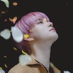 [NCT칠프] 여기 진짜 <b>개도</b>른거가틈ㅇㅇㅇ